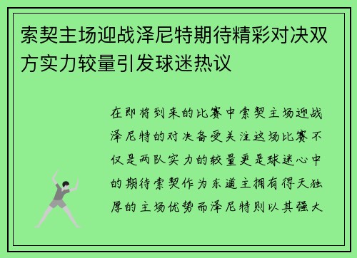 索契主场迎战泽尼特期待精彩对决双方实力较量引发球迷热议