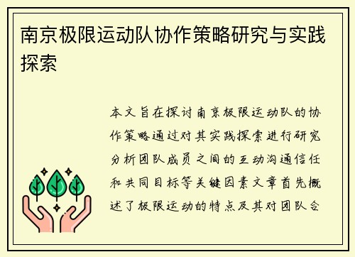 南京极限运动队协作策略研究与实践探索